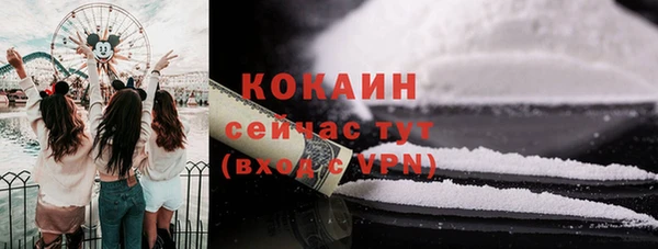 apvp Горнозаводск