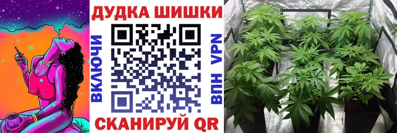Купить  Нерчинск  МАРИХУАНА SATIVA & INDICA 